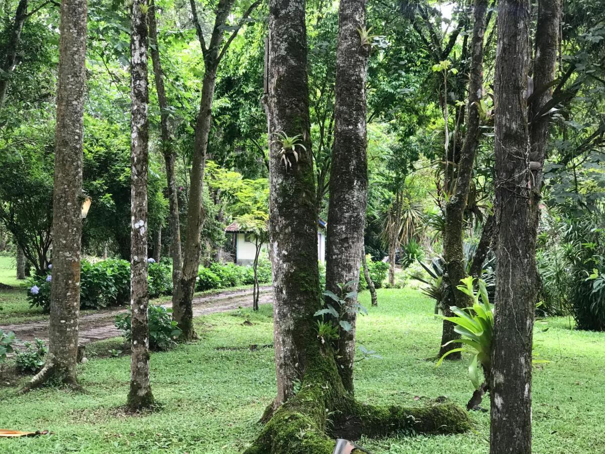 Hotel Terra Verde Maua Visconde de Mauá Exteriér fotografie